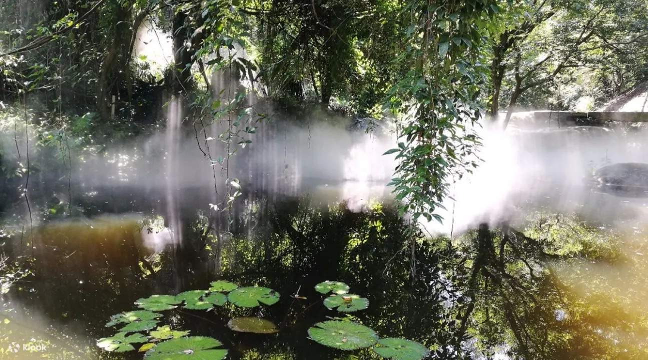 植物园热带雨林